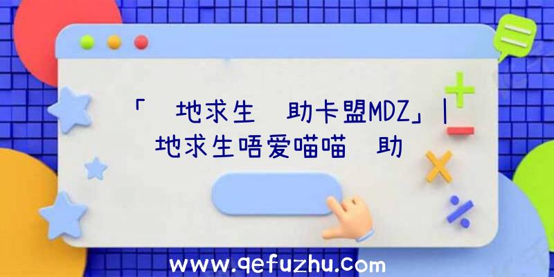 「绝地求生辅助卡盟MDZ」|绝地求生唔爱喵喵辅助